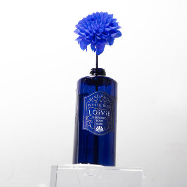 LOiViE Perfumed Body Wash 290ml [2 types]