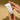 d'Alba White Truffle Aromatic Double Hand Cream 50ml