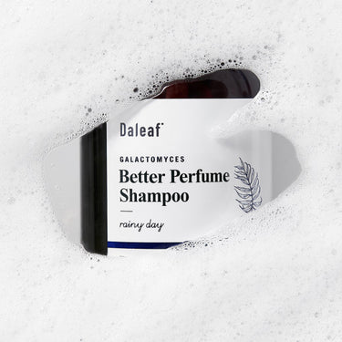 Daleaf Galactomyces Better Perfume Shampoo 500ml [2 Types]