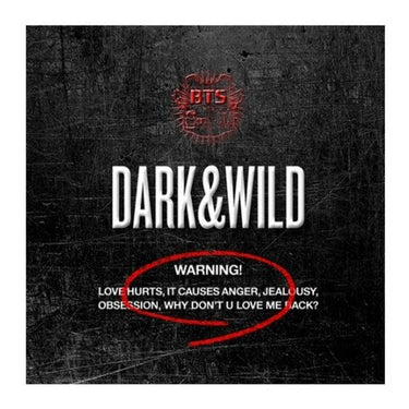 BTS - 1st Full Album : DARK & WILD AniMelodic