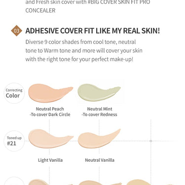 ETUDE Big Cover Skin Fit Concealer PRO AniMelodic