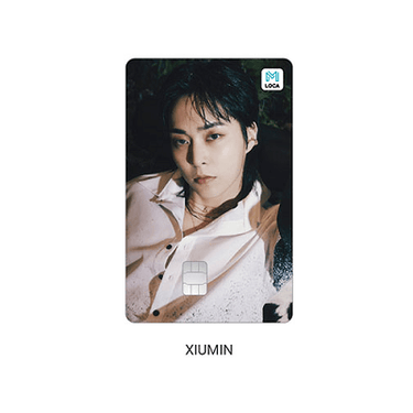 EXO EXIST LOCA MOBILITY CASHBEE CARD AniMelodic