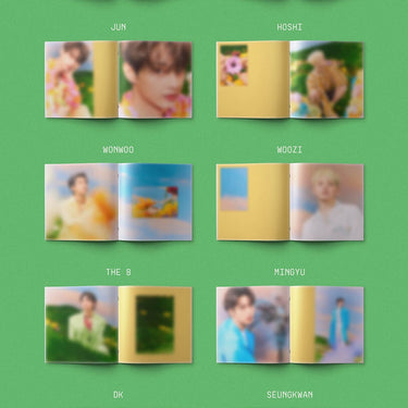 SEVENTEEN - 4th full Album(Repackage) : SECTOR 17 [compact ver.] AniMelodic